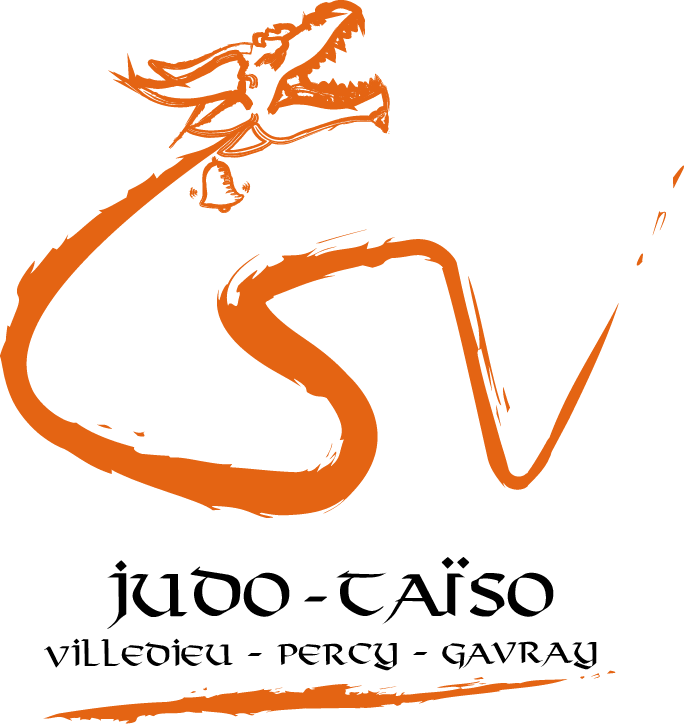 Logo C.SPORT VILLEDIEU